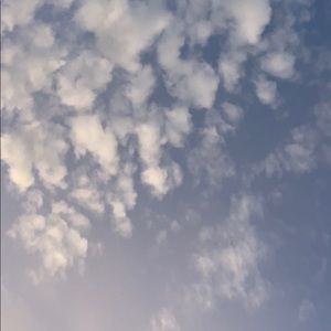 Meet your Posher, Evelyn